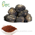 Man Enhancement Black Maca Root Extrakt